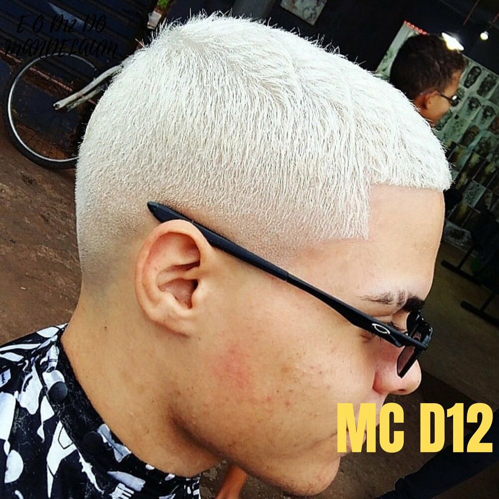 Picture of Mc D12