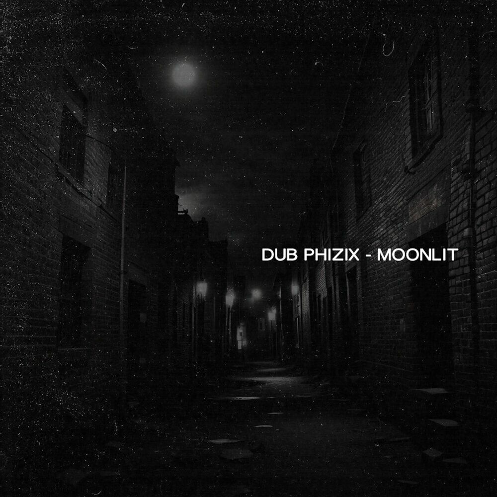 Picture of Dub Phizix