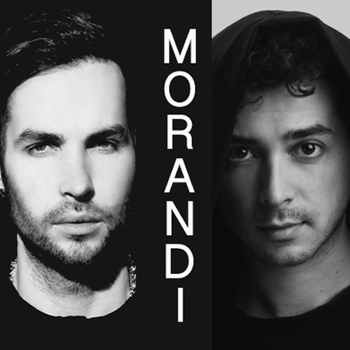 Artist picture of Morandi