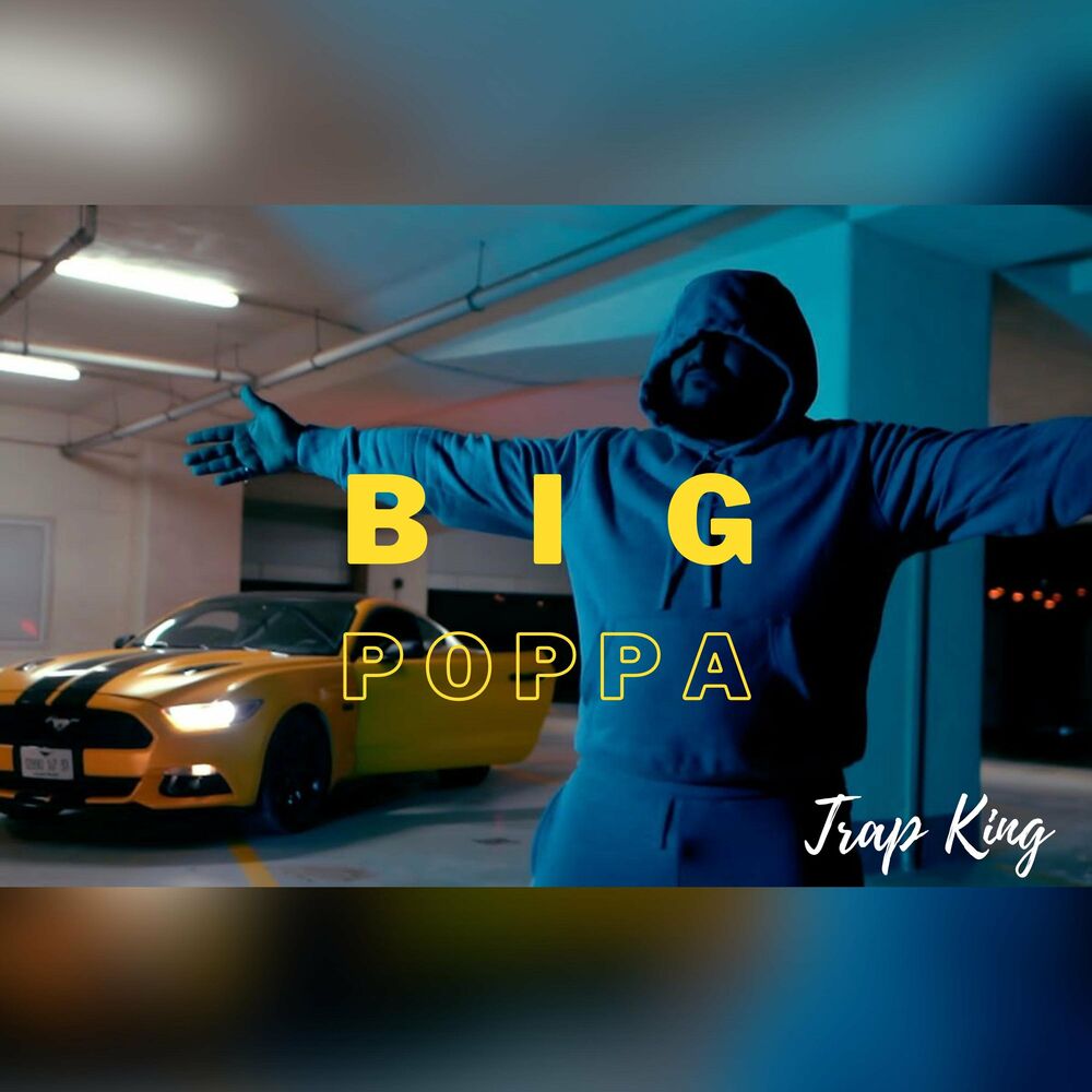 Picture of Trap King