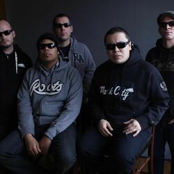 Picture of The Aggrolites