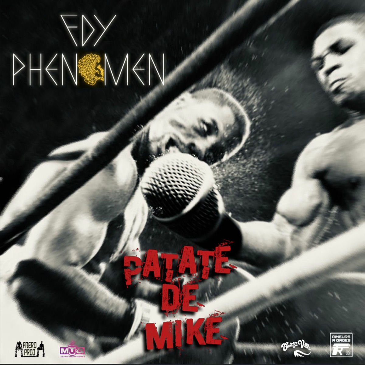 Fdy Phenomen