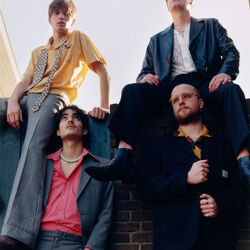 Picture of The Vices