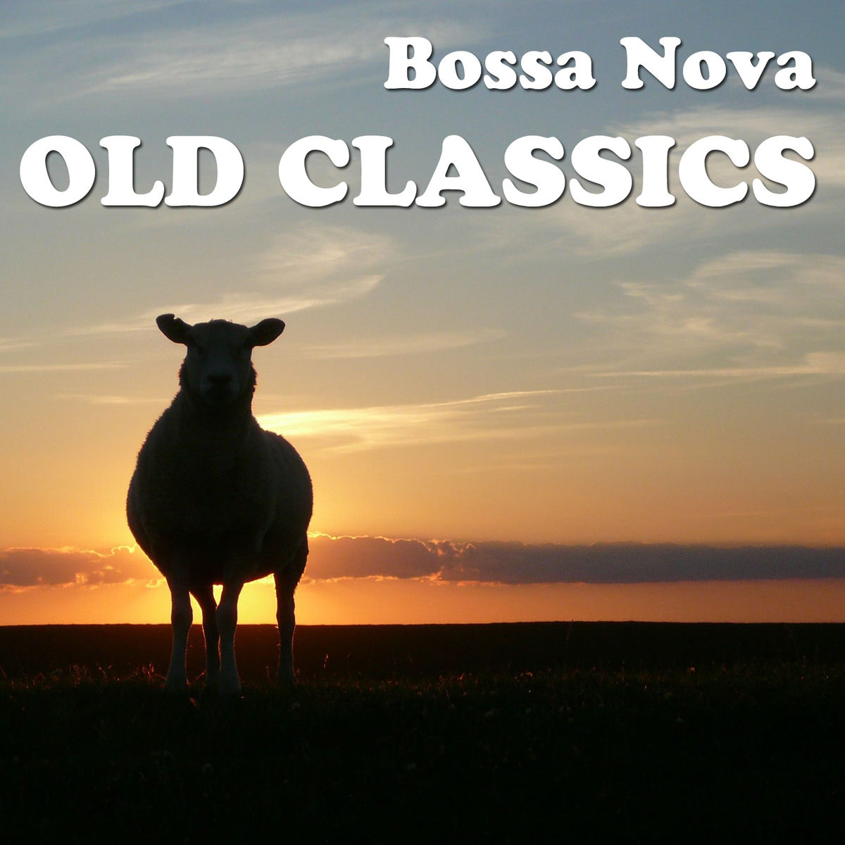 Artist picture of Bossa Nova