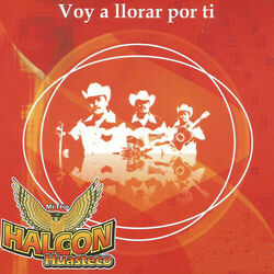 Picture of Trio Halcon Huasteco