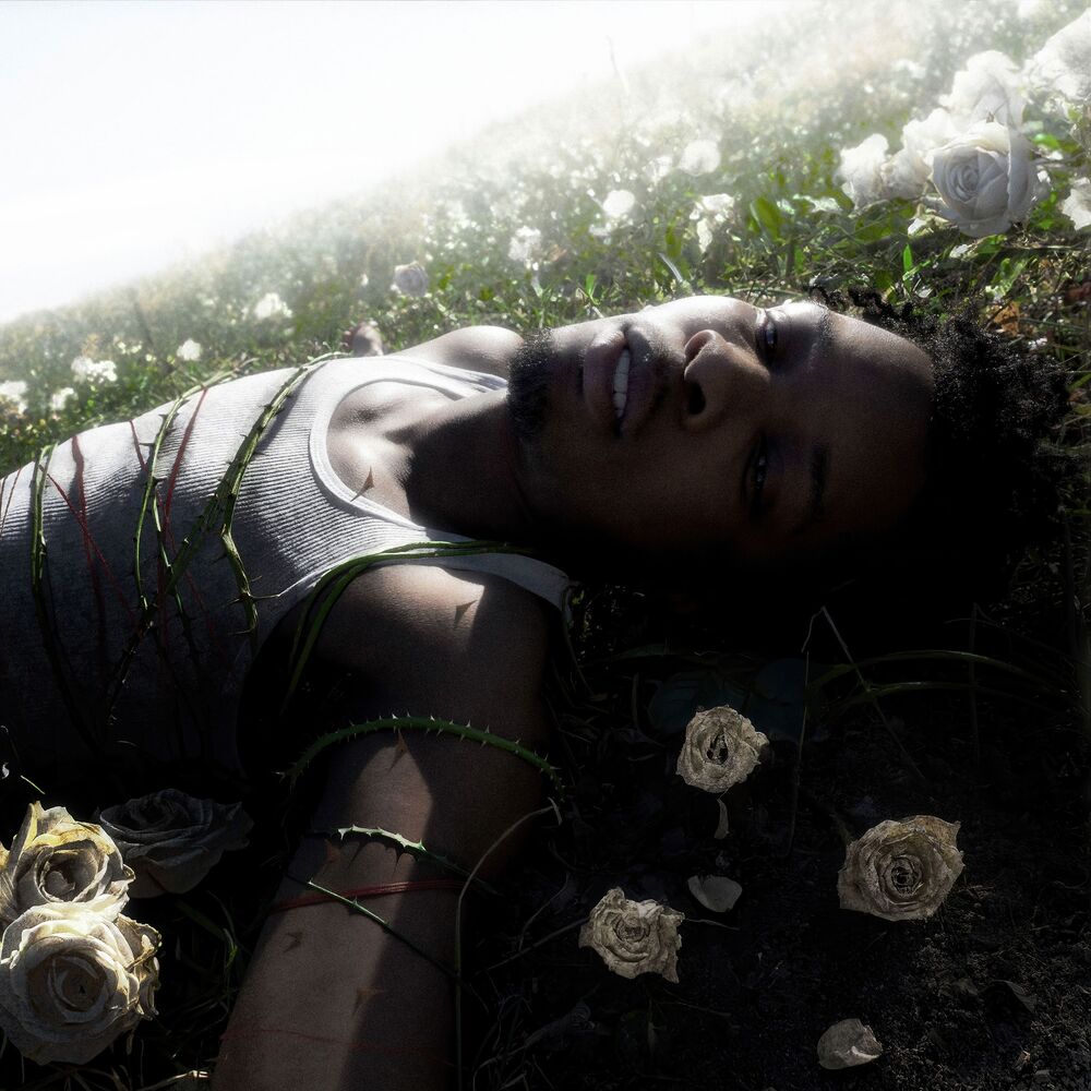Photo de l'artiste d4vd
