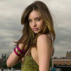 Picture of Filv