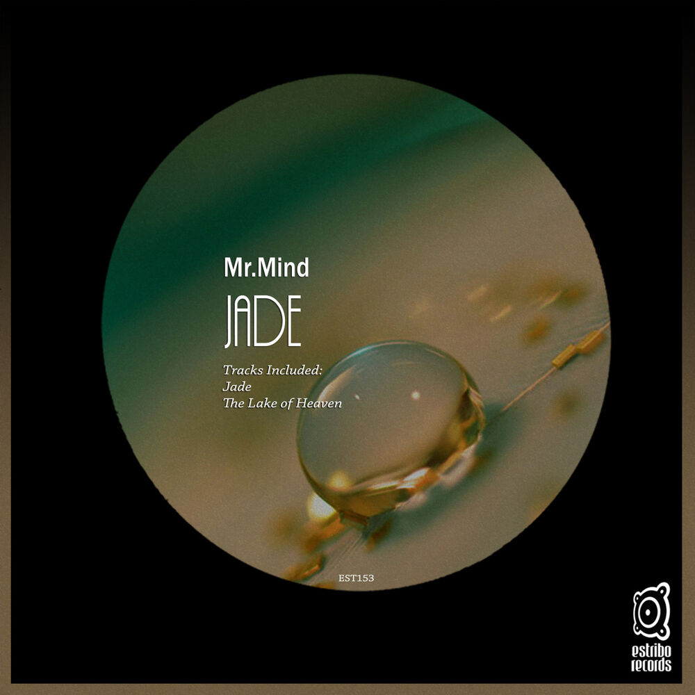 Picture of Mr.Mind