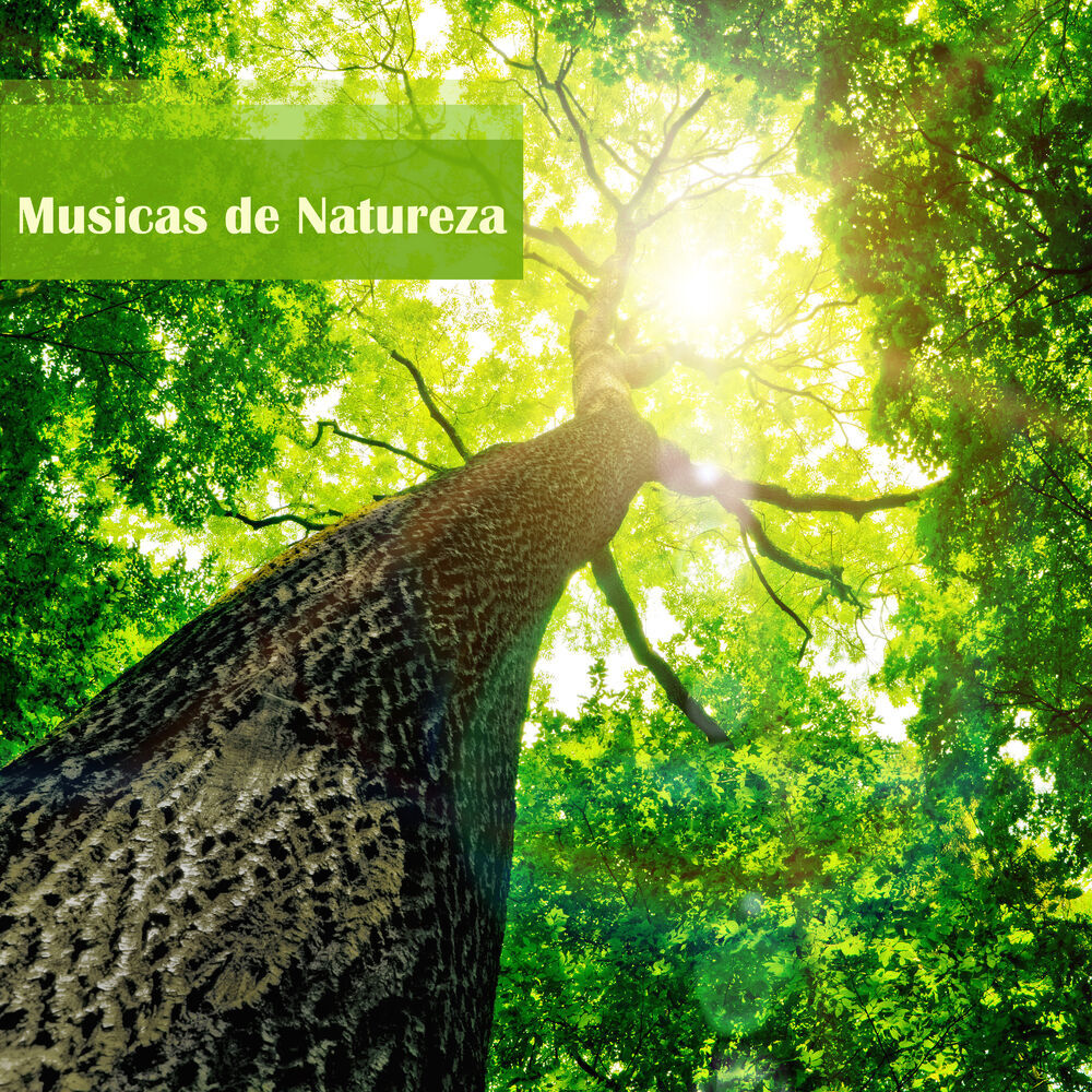 Picture of Natureza