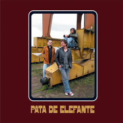 Picture of Pata de Elefante