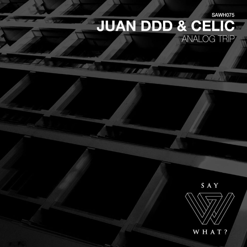 Picture of Juan Ddd, Celic