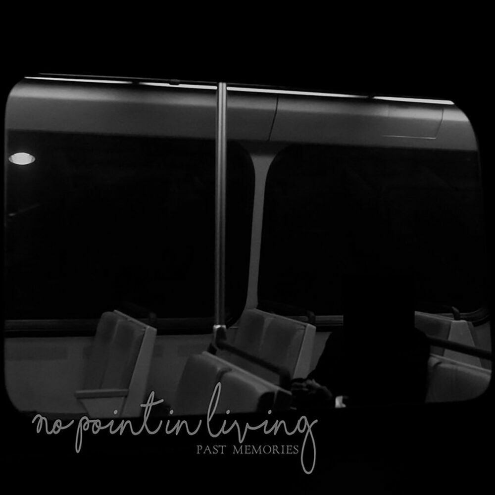 Picture of No Point in Living