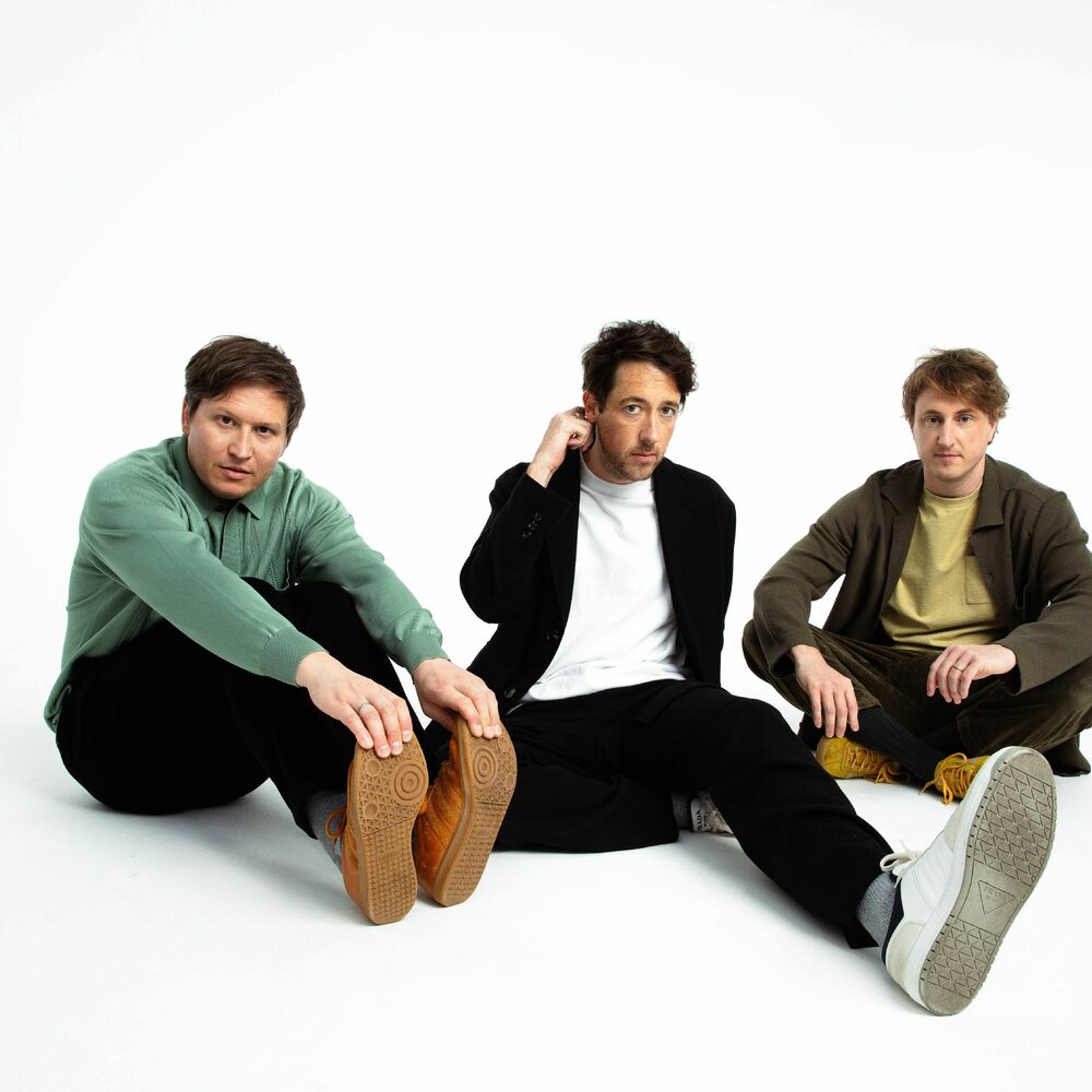 Picture of The Wombats