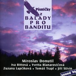 Picture of Miroslav Donutil