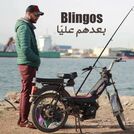 Blingos