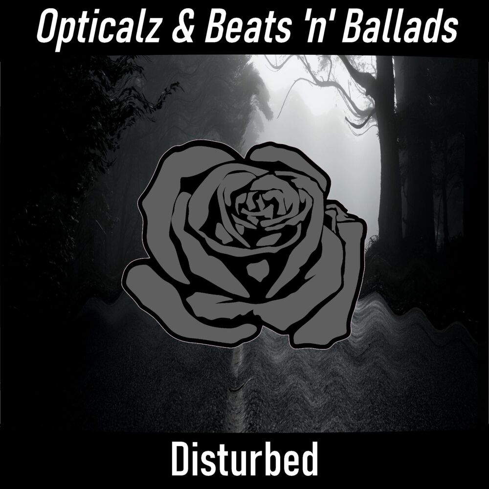 Picture of Opticalz