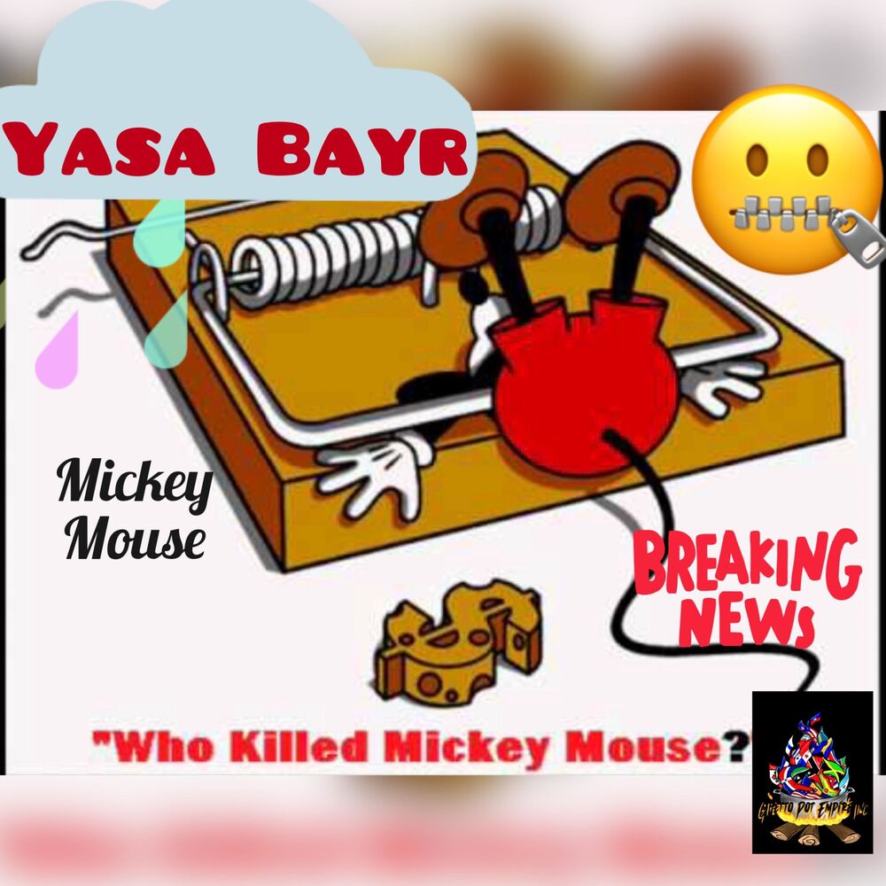 Picture of Yasa Bayr