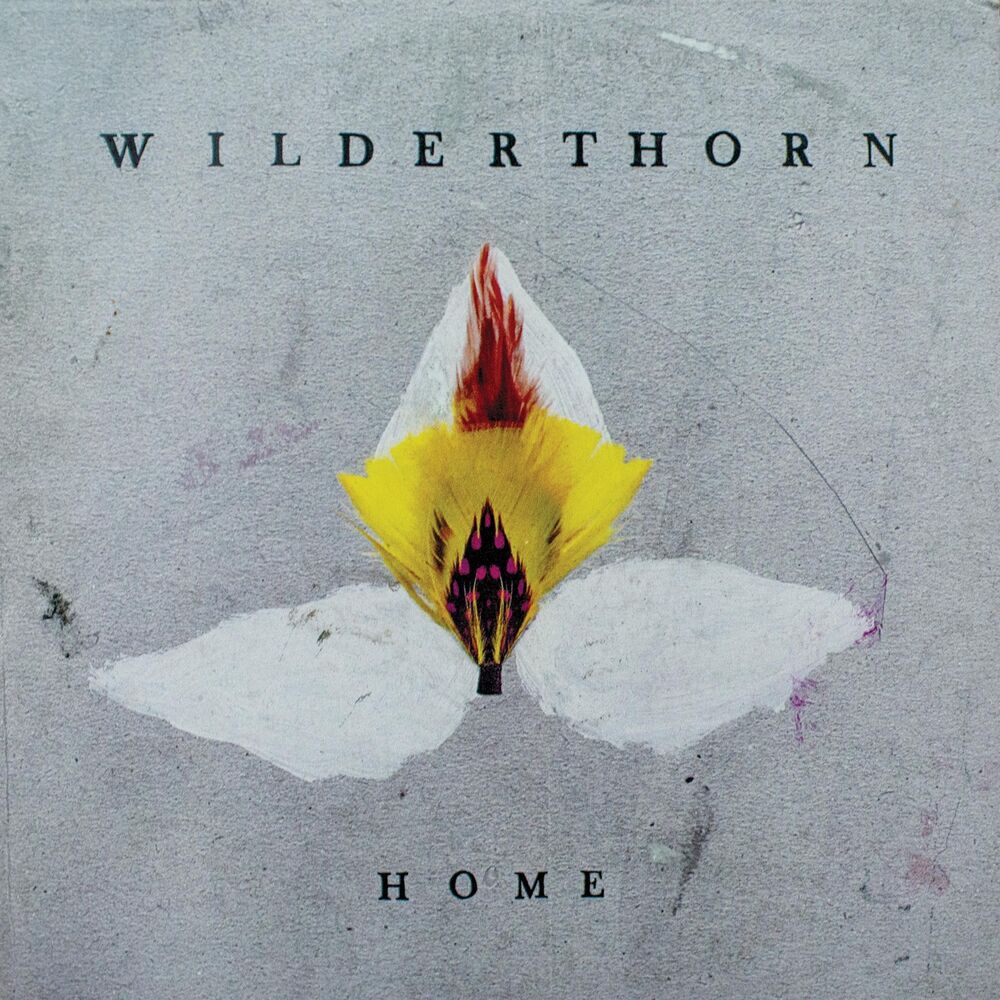 Picture of Wilderthorn