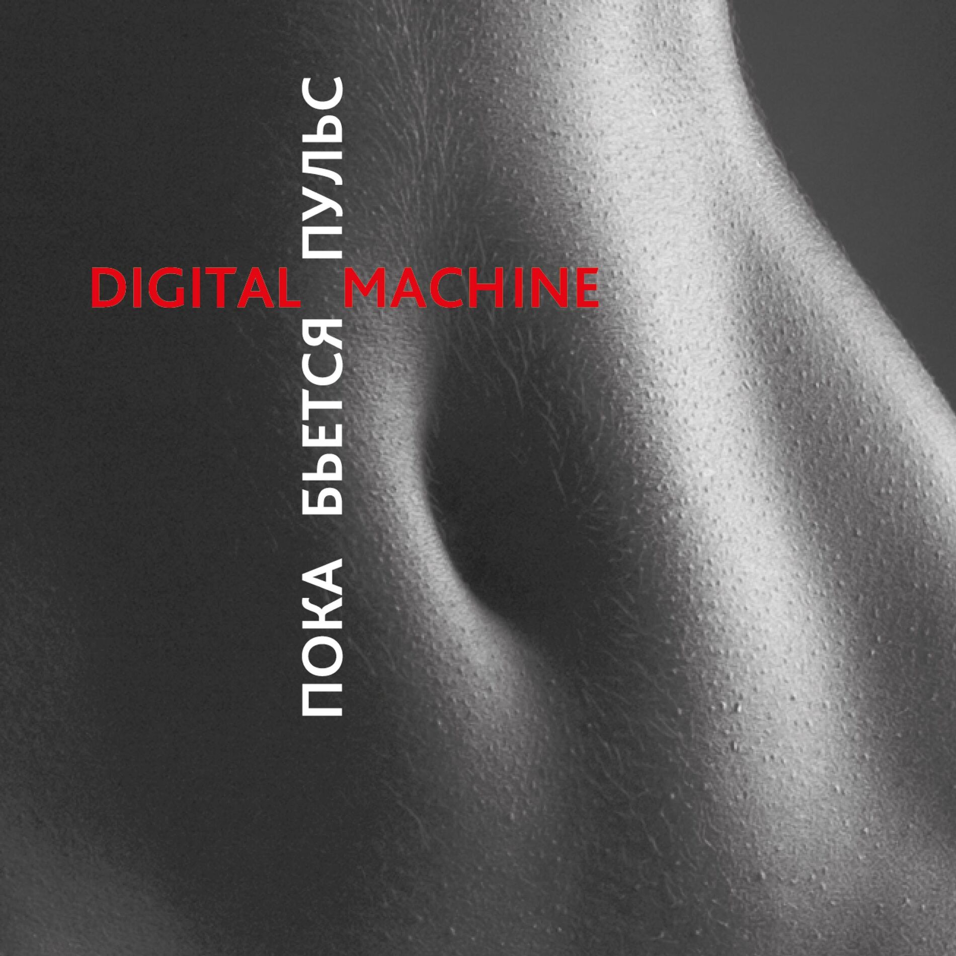 Digital Machine