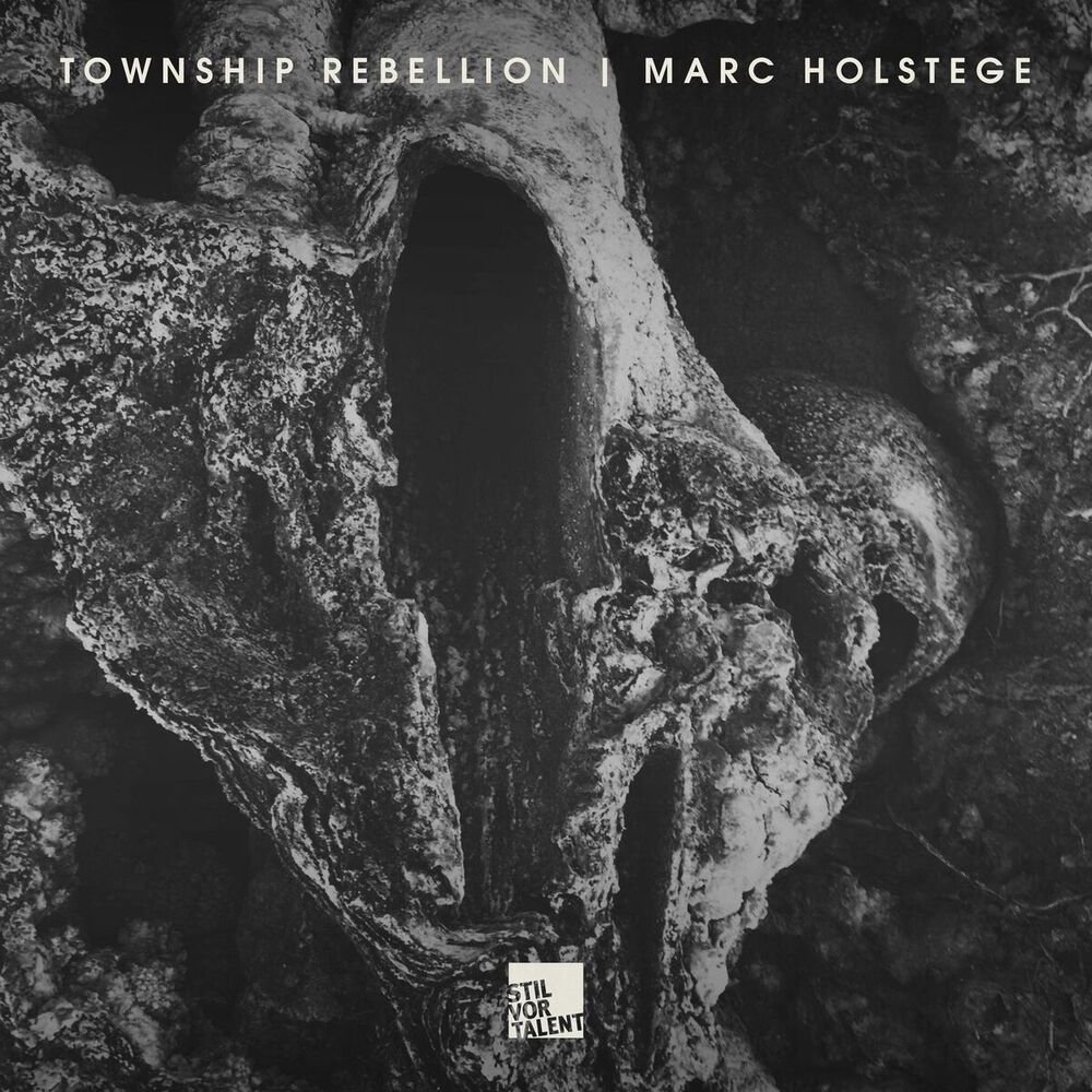 Picture of Marc Holstege