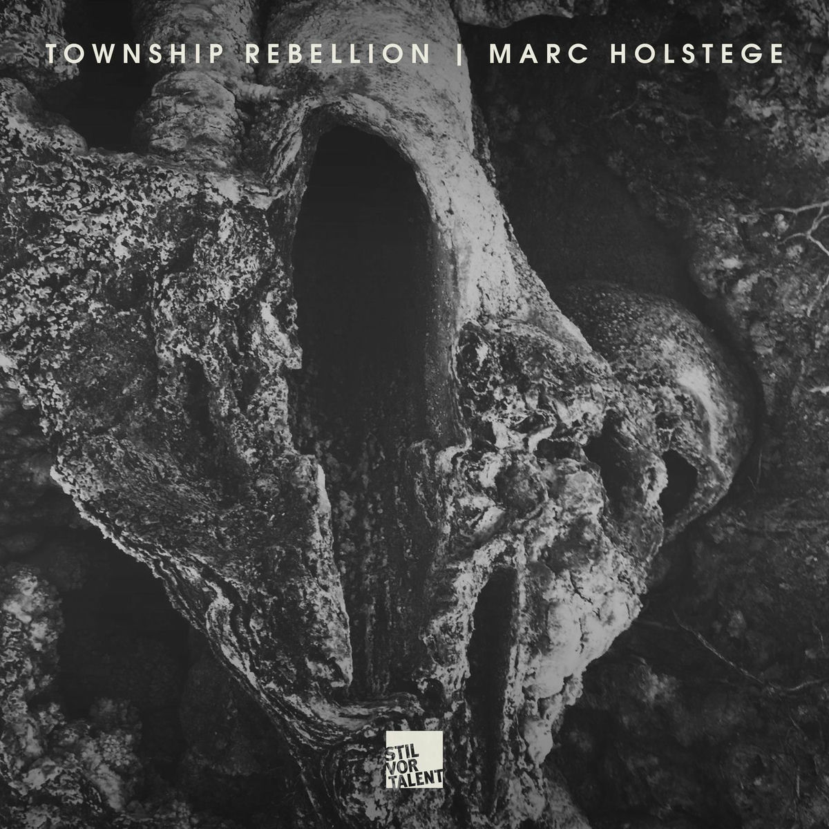 Marc Holstege