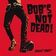 Bob's NoT Dead!