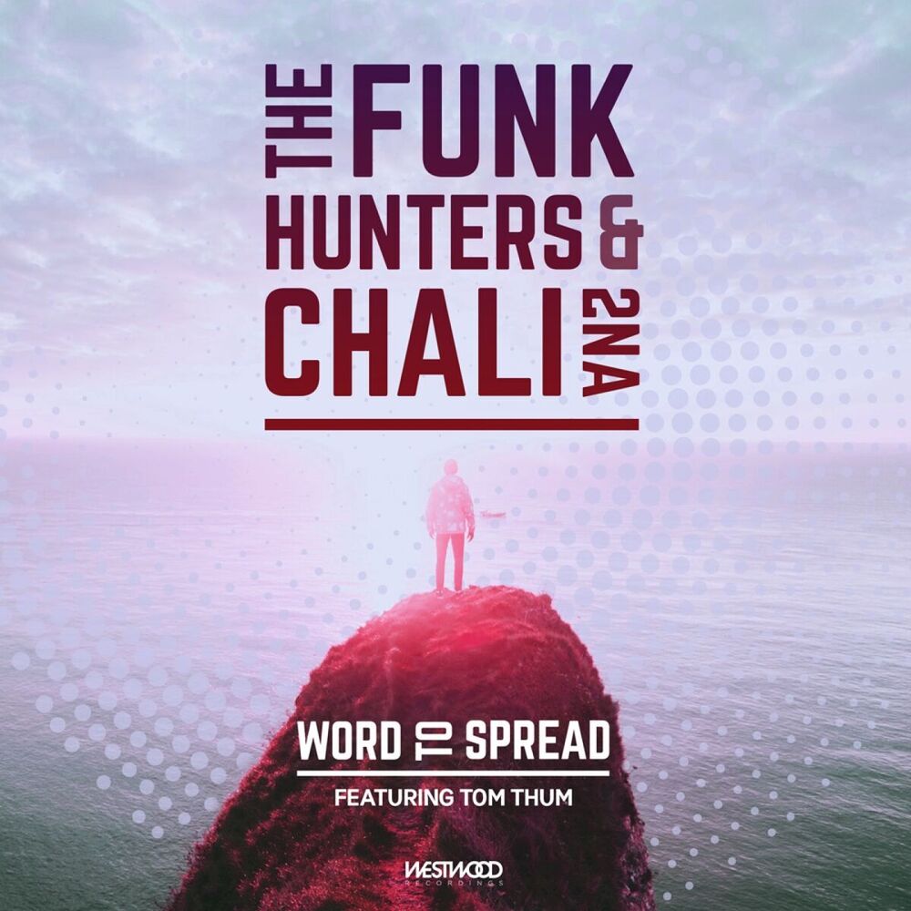Picture of The Funk Hunters