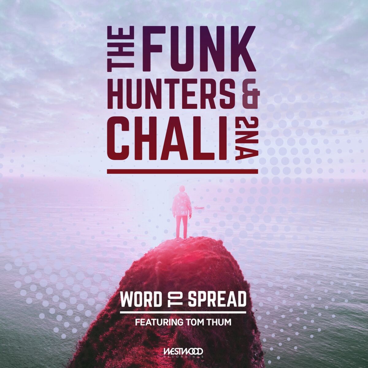 Artist picture of The Funk Hunters