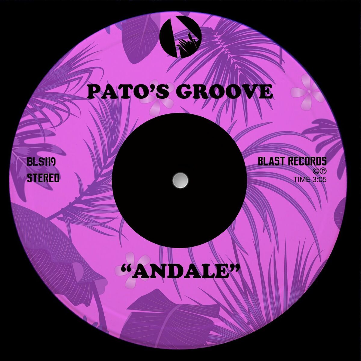 Pato's Groove