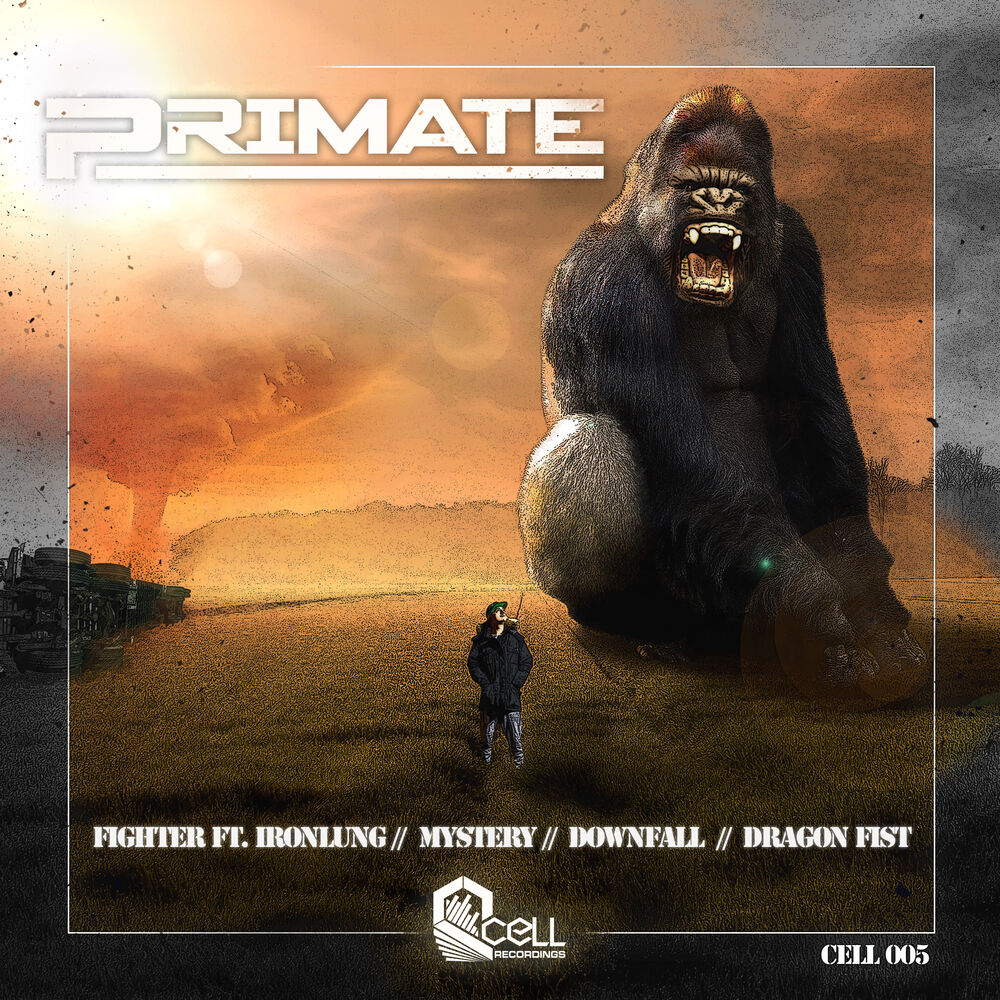 Picture of Primate