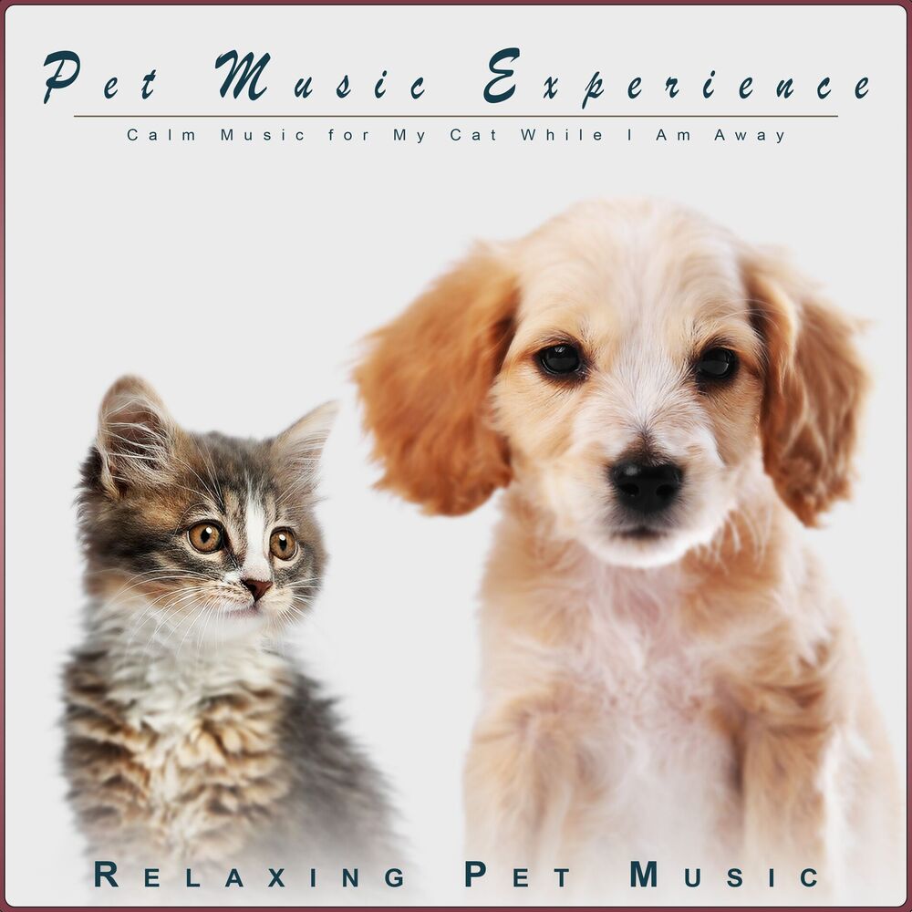 Picture of Relaxing Pet Music