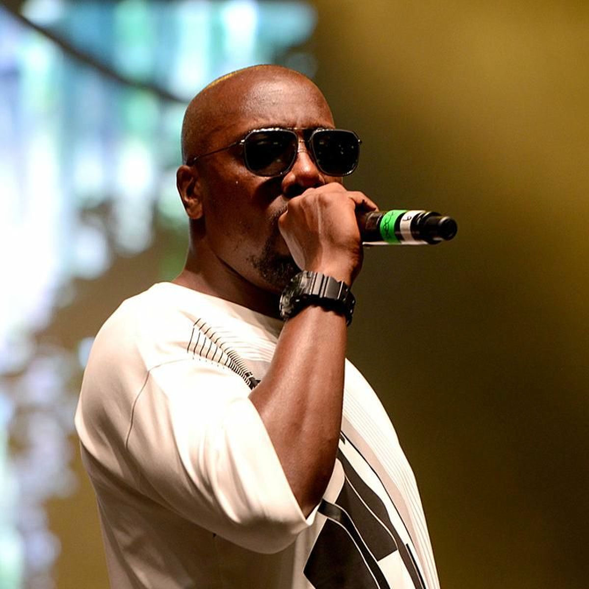 Inspectah Deck