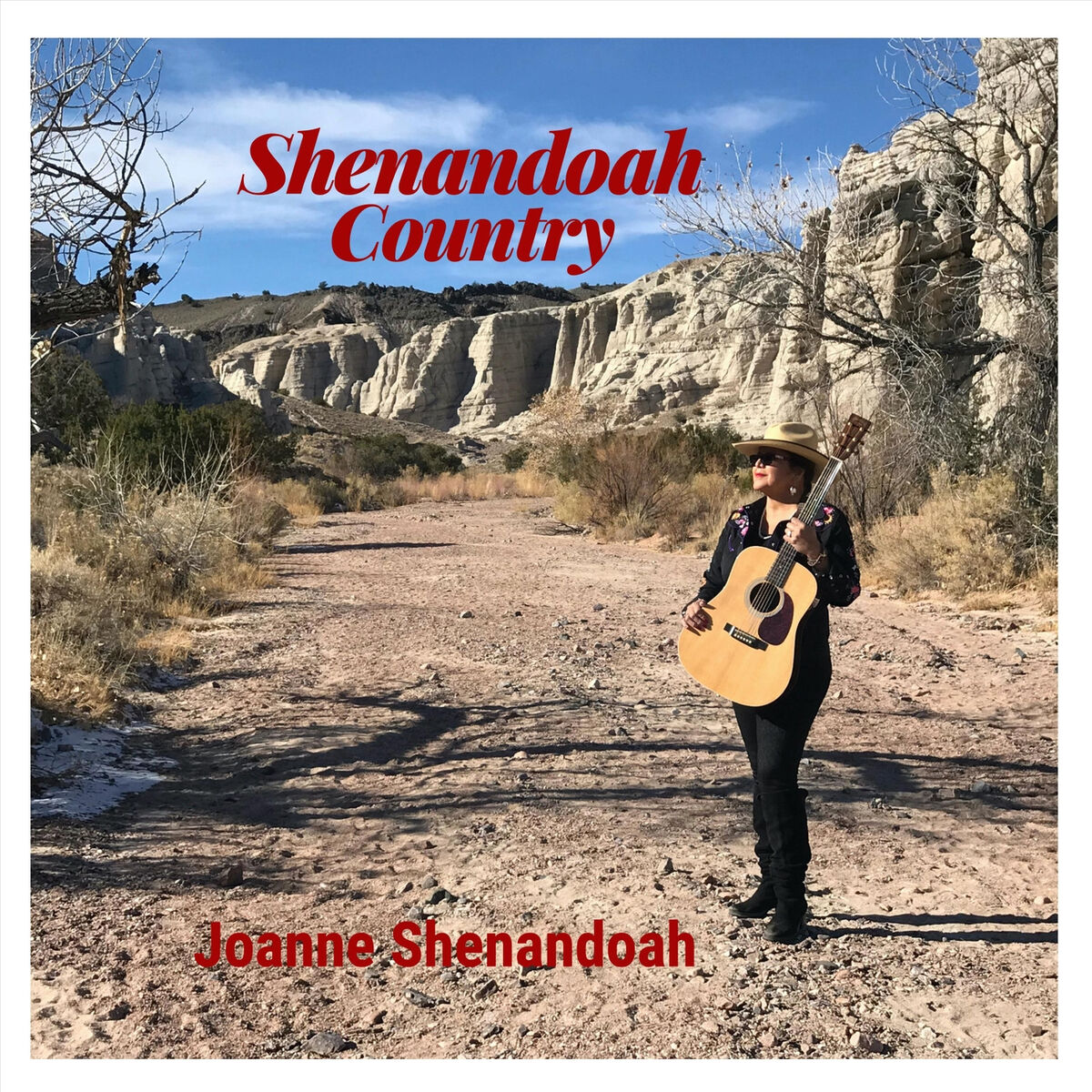 Joanne Shenandoah
