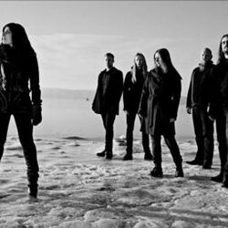Picture of Tristania
