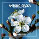 Antonio Giacca