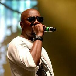 Picture of Inspectah Deck