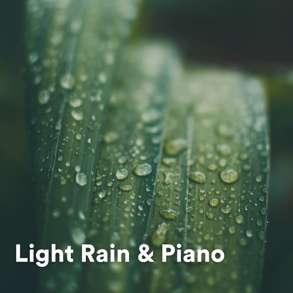 Picture of 24H Rain Sounds