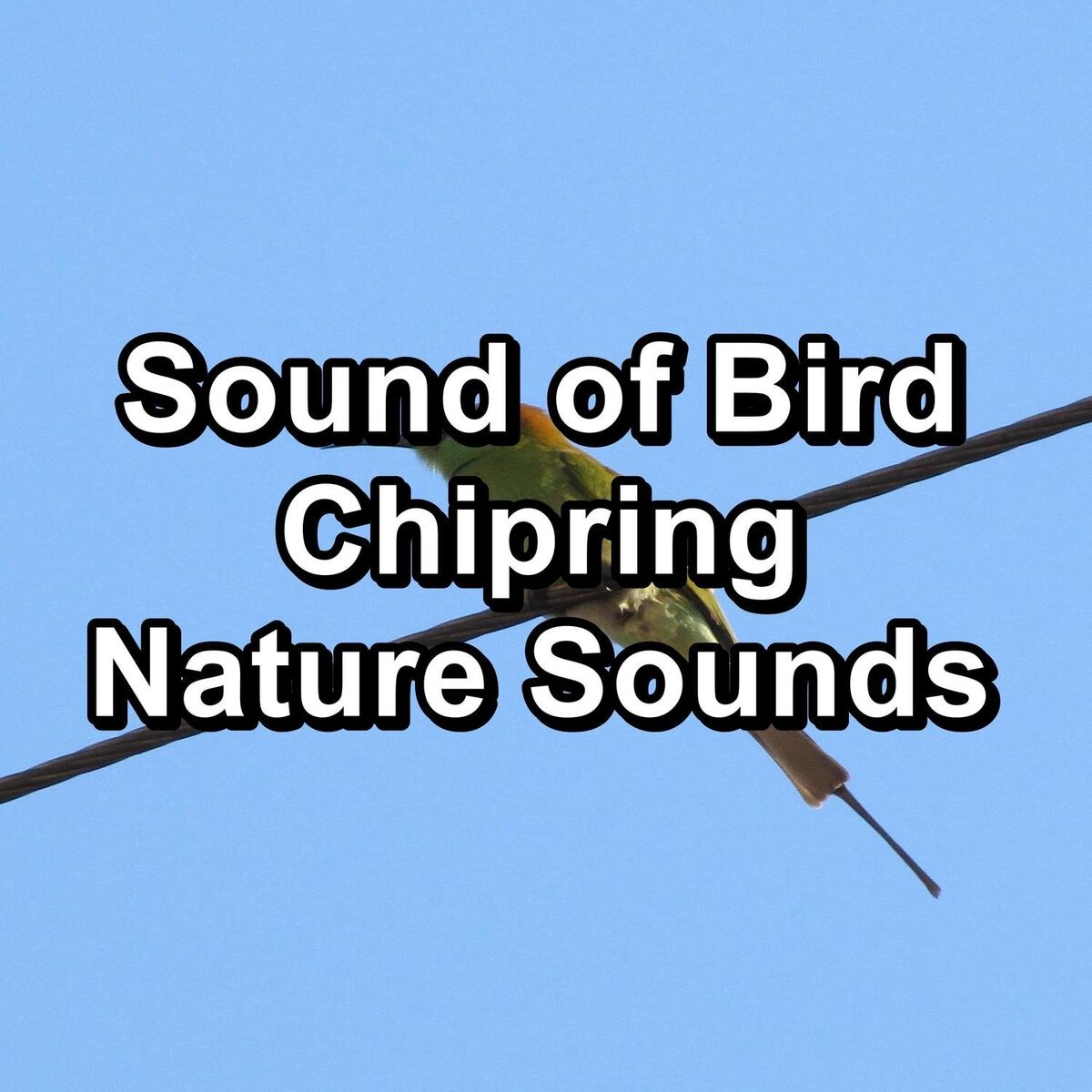Binaural Beats Sleep