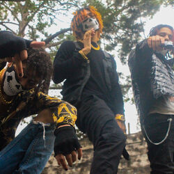 Picture of Levn Mob