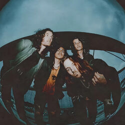 Picture of Return to Dust