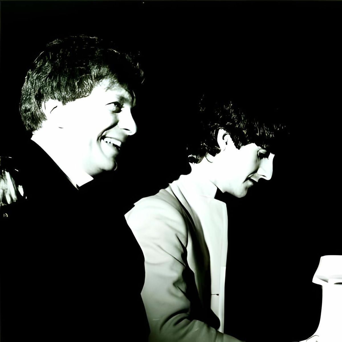 Artist picture of The Durutti Column