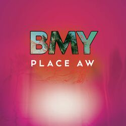 Picture of BMY