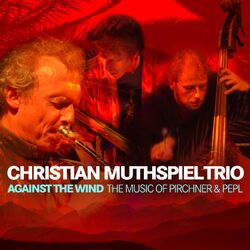 Picture of Christian Muthspiel