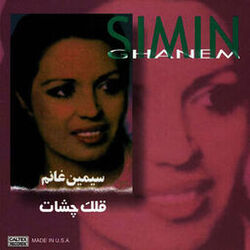 Picture of Simin Ghanem