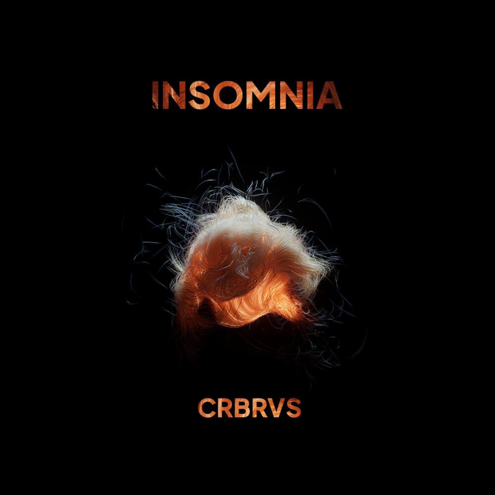 Picture of CRBRVS
