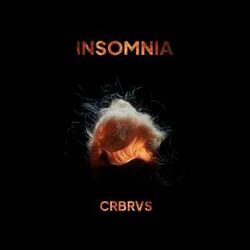 Picture of CRBRVS