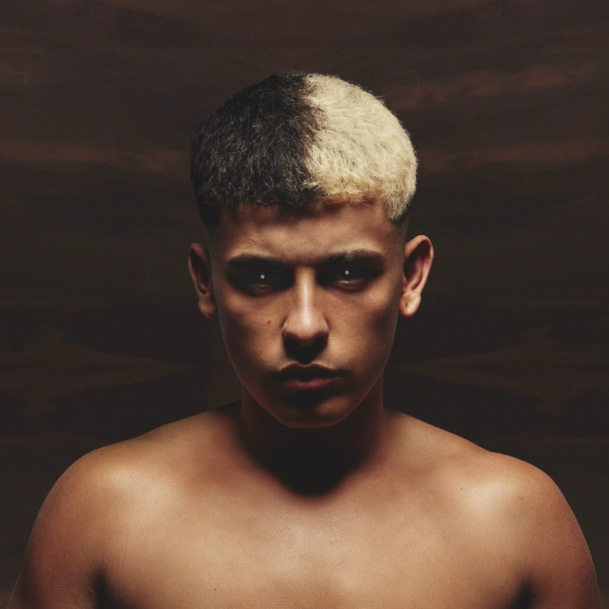 Artist picture of Trueno