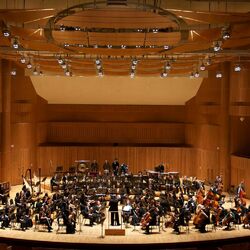 Picture of Baltimore Symphony Orchestra
