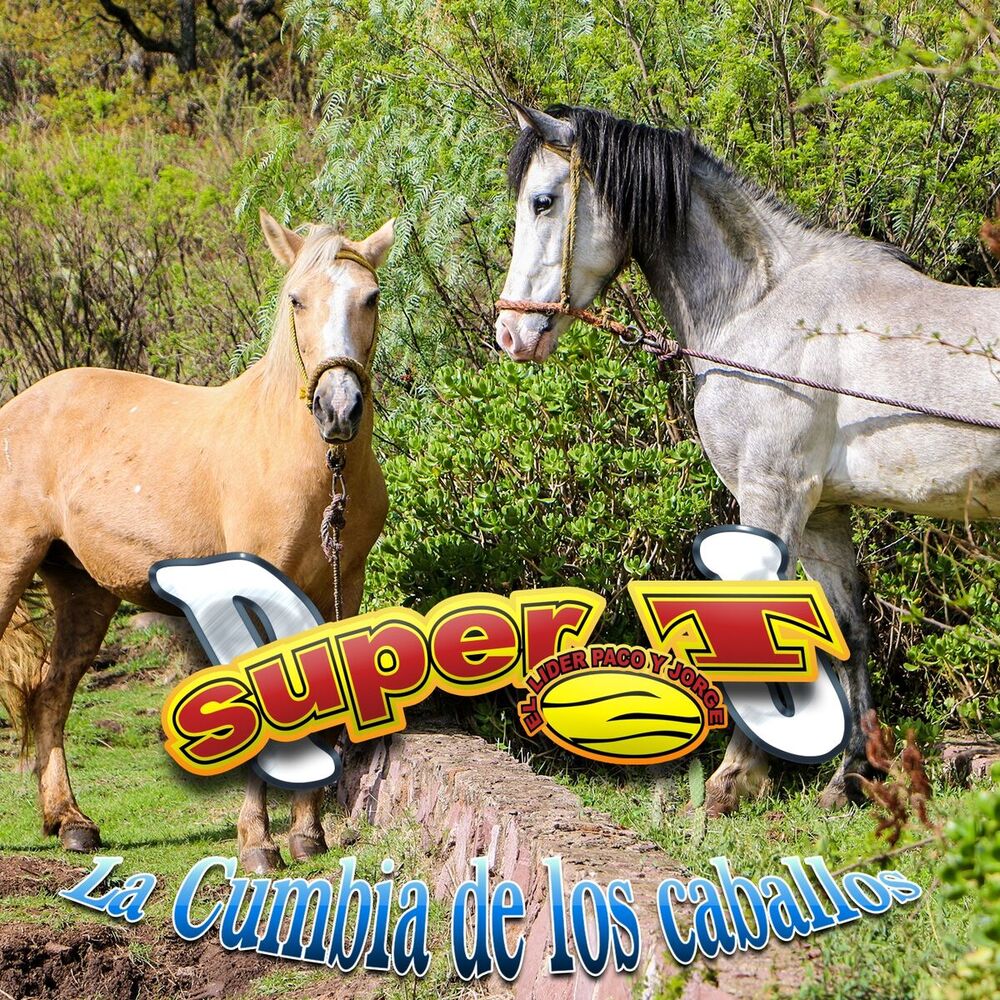Picture of Grupo Super T