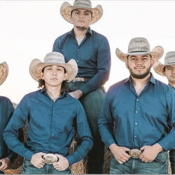Picture of Los Dorados